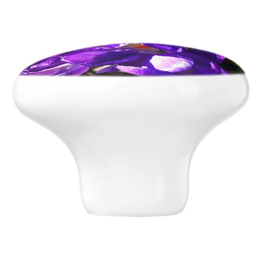 SPRING CROCUS KERAMISCHE KNOP (Zijkant)