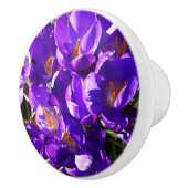 SPRING CROCUS KERAMISCHE KNOP (Rechts)