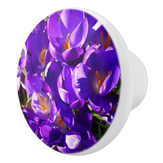 SPRING CROCUS KERAMISCHE KNOP (Rechts)