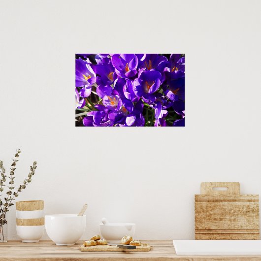 SPRING CROCUS POSTER (Keuken)