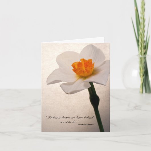 Spring Daffodil Bedankt voor je medeleven (Voorkant)