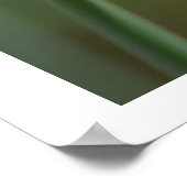 Spring Daffodil Poster (Hoek)