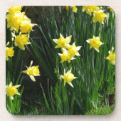 Spring Daffodils Bier Onderzetter (Voorkant)