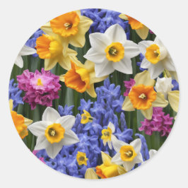 Spring Daffodils  Bloemen Ronde Sticker
