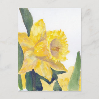Spring Daffodils Briefkaart