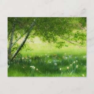 Spring Daffodils Briefkaart