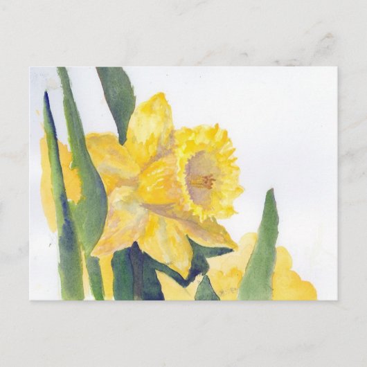 Spring Daffodils Briefkaart (Voorkant)