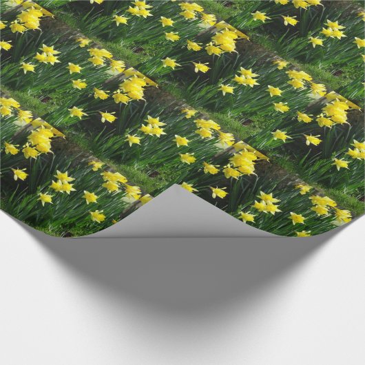 Spring Daffodils Cadeaupapier (Hoek)