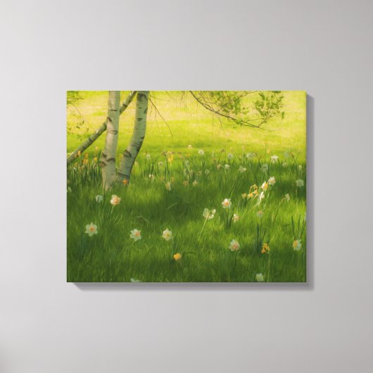 Spring Daffodils Canvas Afdruk (Voorkant)
