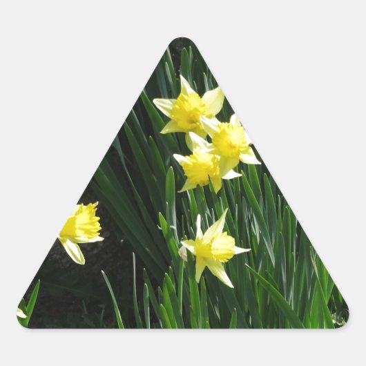 Spring Daffodils Driehoek Sticker (Voorkant)