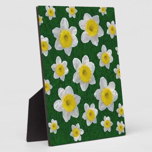 Spring Daffodils Fotoplaat (Zijkant)
