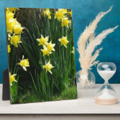 Spring Daffodils Fotoplaat (Zijkant)