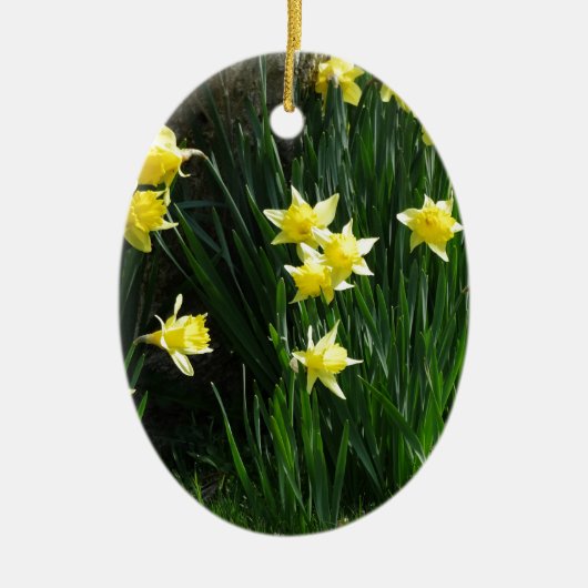 Spring Daffodils Keramisch Ornament (Voorkant)