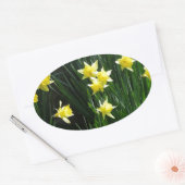 Spring Daffodils Ovale Sticker (Envelop)