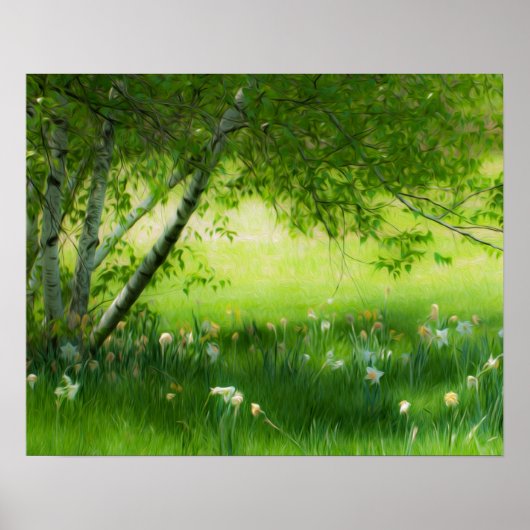 Spring Daffodils Poster (Voorkant)