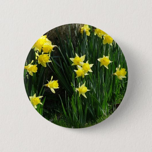 Spring Daffodils Ronde Button 5,7 Cm (Voorkant)