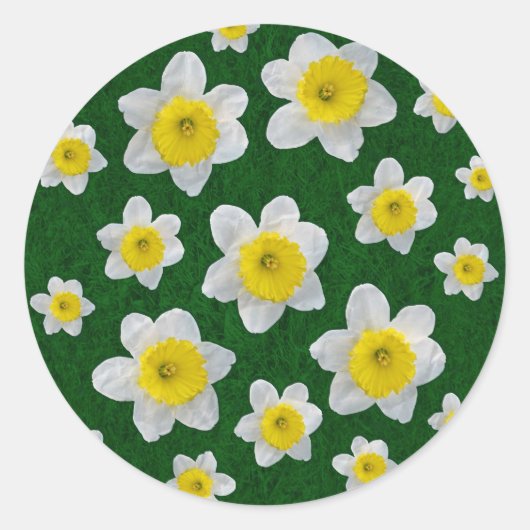 Spring Daffodils Ronde Sticker (Voorkant)