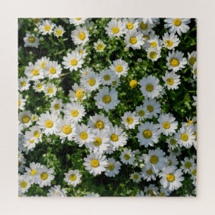 Spring Daisy Field: Serene achtergrond Legpuzzel