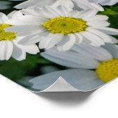 Spring Daisy Field: Serene achtergrond Poster (Hoek)