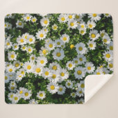 Spring Daisy Field: Serene achtergrond Sherpa Deken (Voorkant (horizontaal))