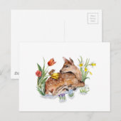 Spring Deer Briefkaart (Voorkant / Achterkant)