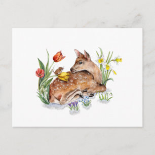 Spring Deer Briefkaart