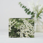 Spring Dogwoods in Marshall Bloom Briefkaart (Staand voorkant)