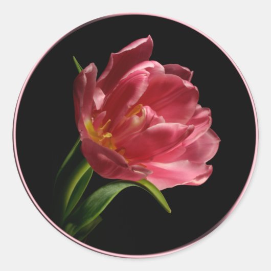 Spring Double Bloom Tulip Envelope Seal Sticker (Voorkant)