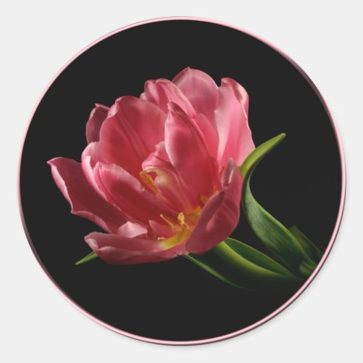 Spring Double Bloom Tulip Envelope Seal Sticker (Voorkant)