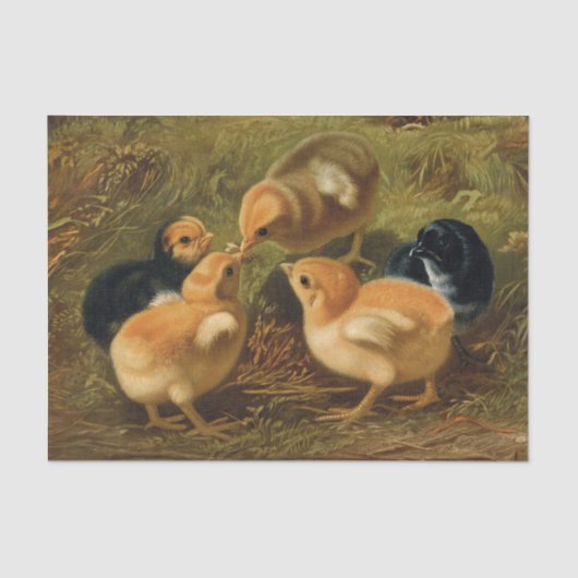 Spring Easter Chicks Decoupage Decoupaging Rustic Tissuepapier (Voorkant)