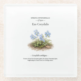Spring Ephemerals of Japan – Ezo Corydalis Glazen Onderzetter