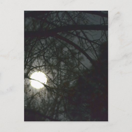 Spring Equinox Full Moon Briefkaart (Voorkant)