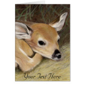 Spring Fawn (Voorkant)