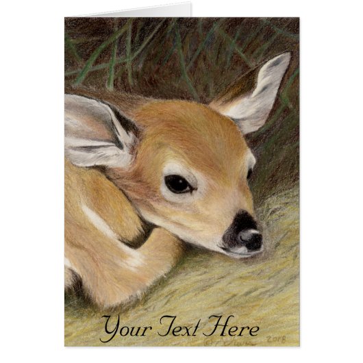 Spring Fawn (Voorkant)