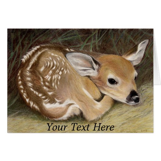 Spring Fawn (Voorkant Horizontaal)