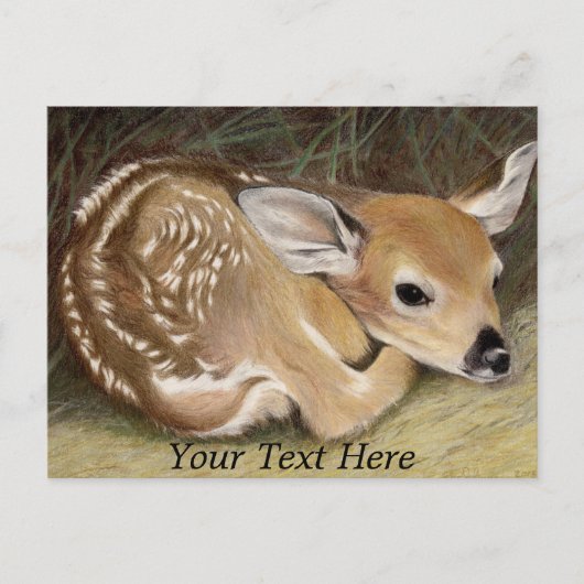 Spring Fawn Briefkaart (Voorkant)
