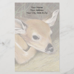 Spring Fawn Briefpapier