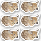 Spring Fawn Sticker (Voorkant)
