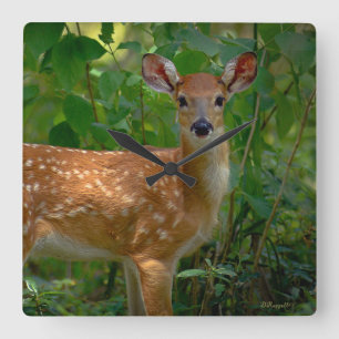 "Spring Fawn" Vierkante Klok
