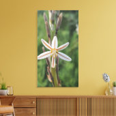 Spring flora South Africa Canvas Print (Insitu (Woonkamer))