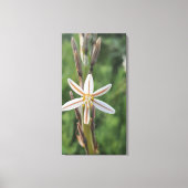 Spring flora South Africa Canvas Print (Voorkant)