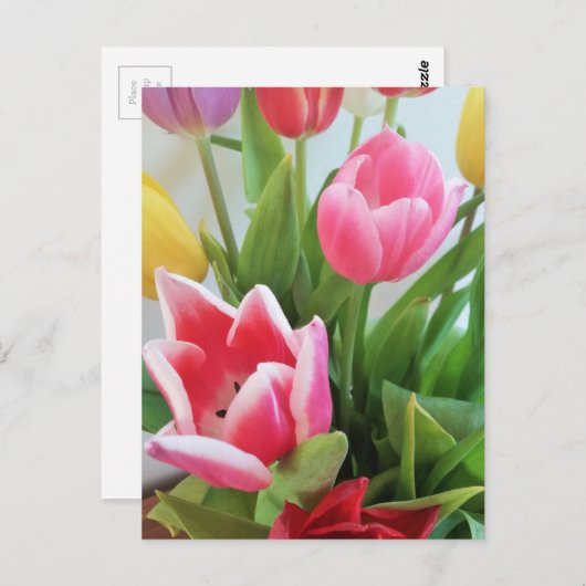 Spring Flower Bouquet Tulips, Floral, Natuur Briefkaart (Voorkant / Achterkant)