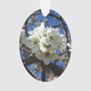 Spring Flowering Pear Tree