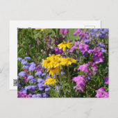 Spring flowers briefkaart (Voorkant / Achterkant)