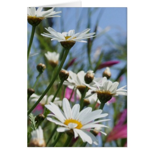 Spring Flowers Card (Voorkant)