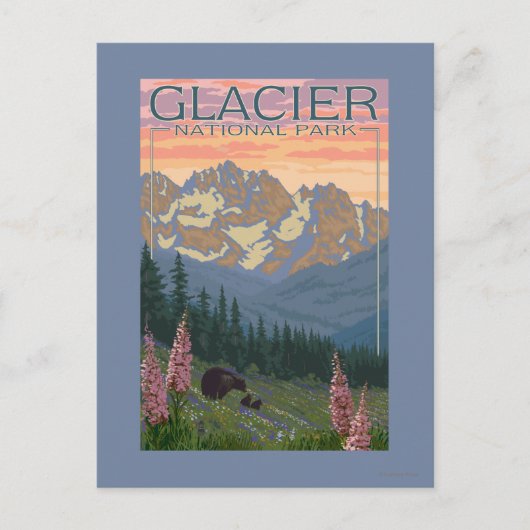 Spring Flowers - Glacier National Park, MT Briefkaart (Voorkant)