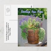 Spring Flowers Greetings uit Napa Briefkaart (Voorkant / Achterkant)