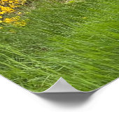 Spring forest in Luxembourg travel Poster (Hoek)