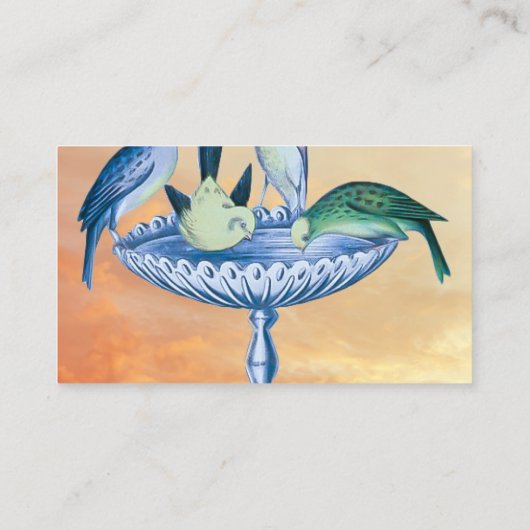 Spring Garden Birdbath Carte de visite (Dos)