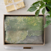 Spring Garden Walk Decoupage Tissue Paper Tissuepapier (Geschenk)